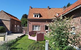 Haspengouws Hoeveke